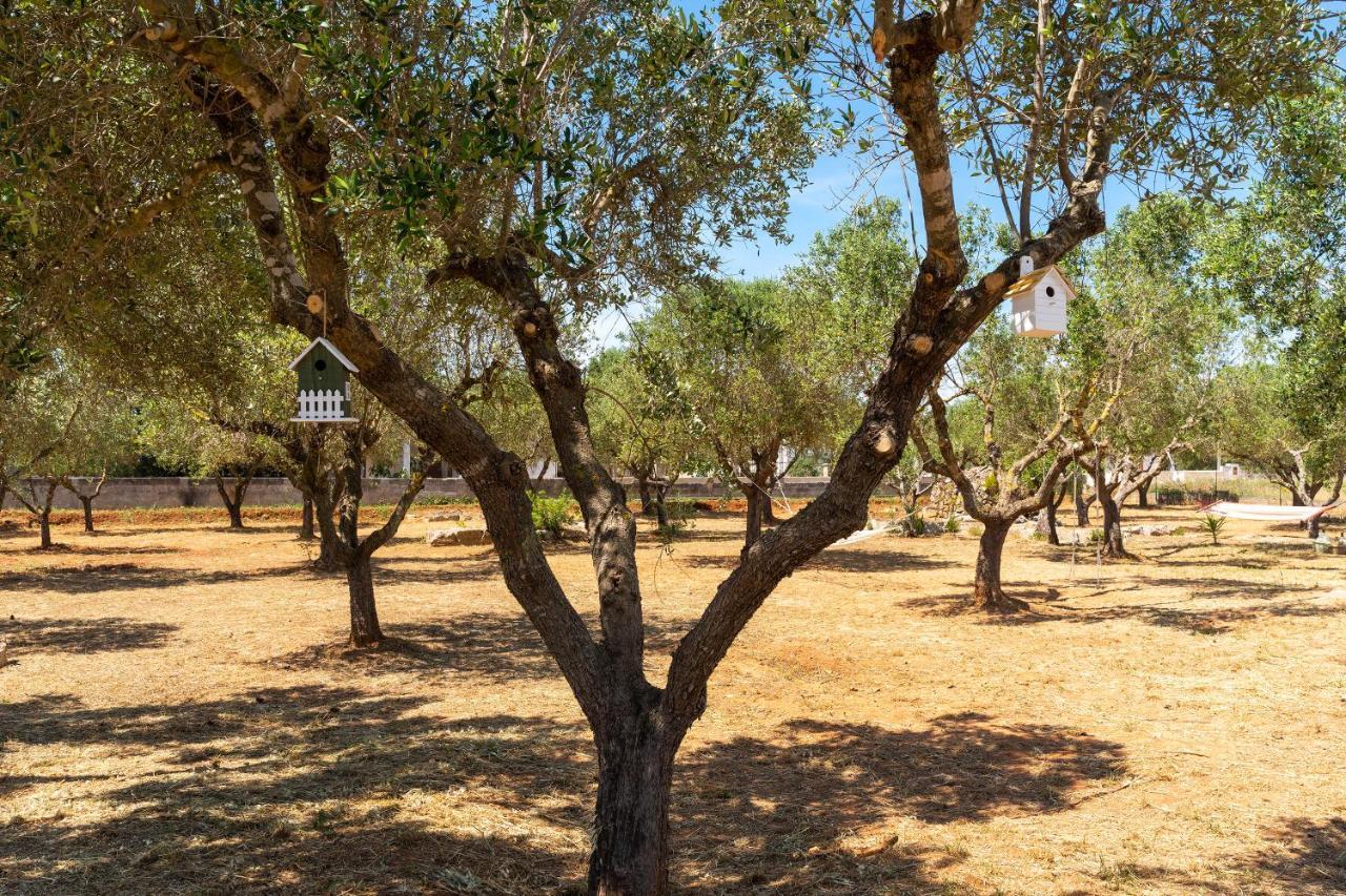 B&B L'Albero D'Oro Sava Extérieur photo